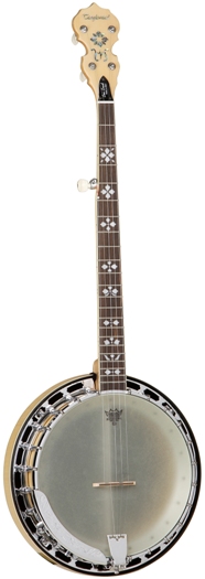 Tanglewood Cove Creek Pro Banjo